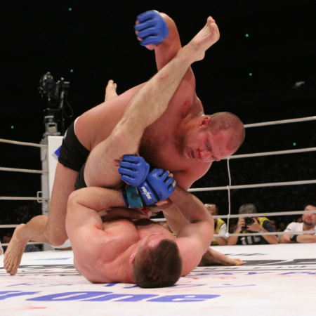 Реванш Федора Емельяненко и Мирко Филиповича может состояться уже этой весной