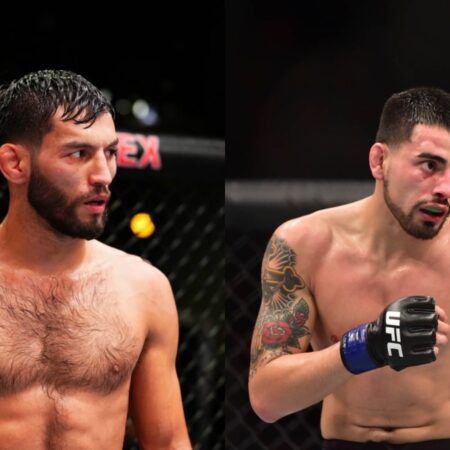 Мэтт Шнелл – Джозеф Моралес: прогноз на со-главный бой UFC Fight Night: Bonfim vs. Brown, 9 ноября 2025