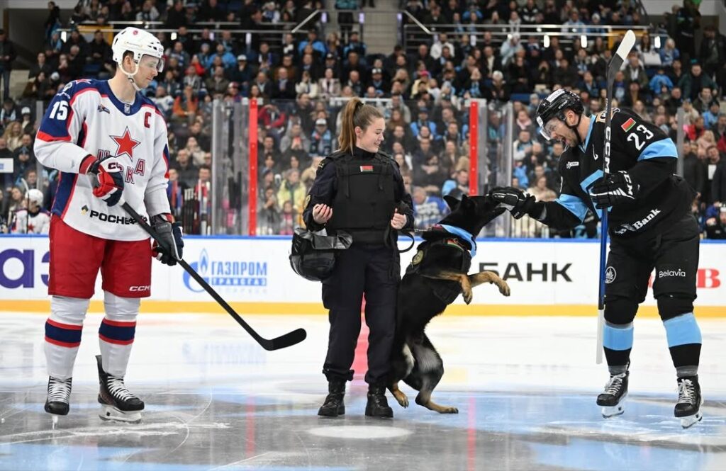 Собака укусила Андрея Стася за перчатку