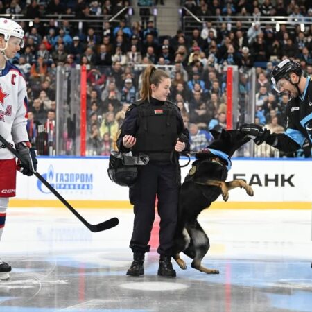 Собака укусила Андрея Стася за перчатку перед игрой с ЦСКА – он забил первый гол в сезоне